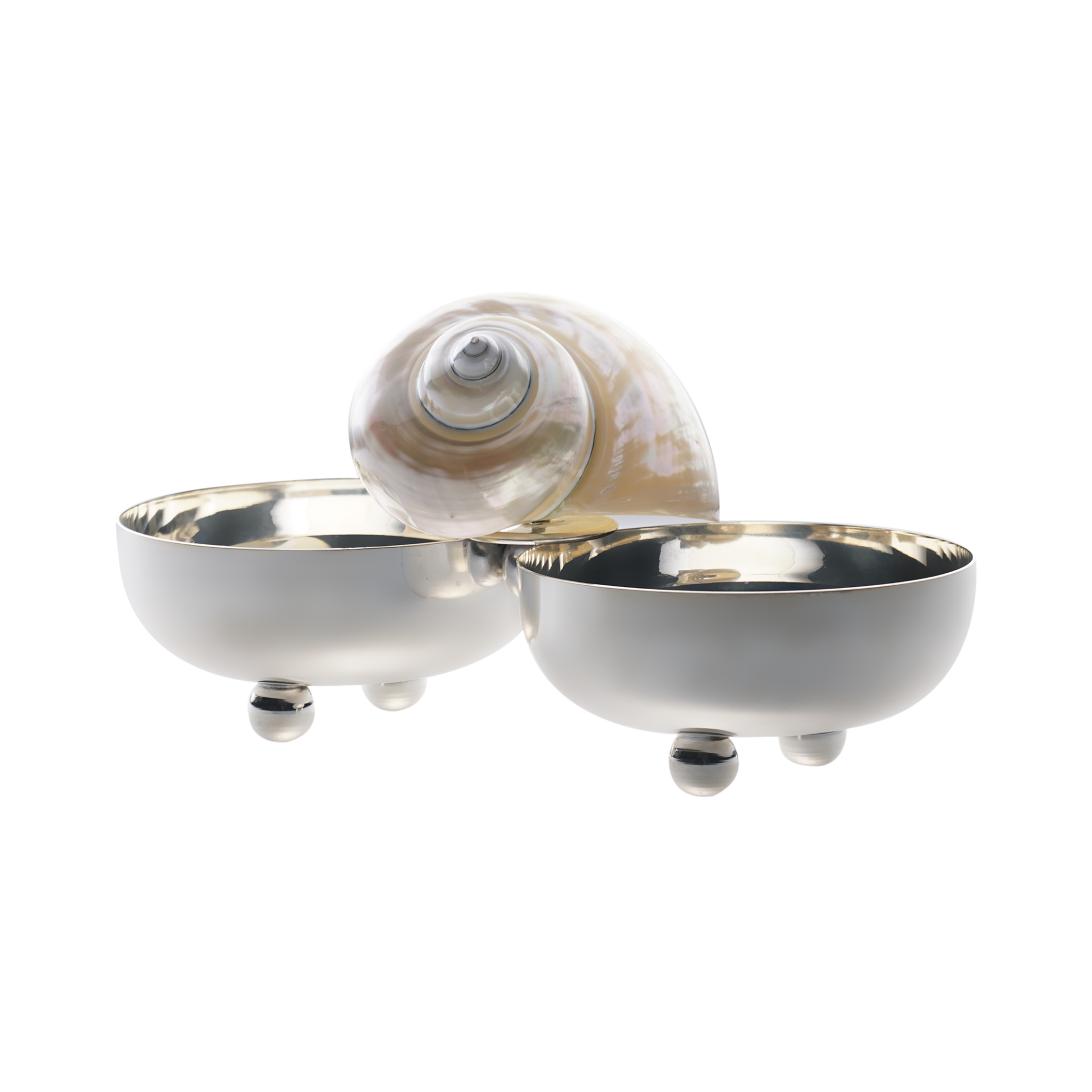 Sedef Deniz Kabuğu İkili Çerezlik