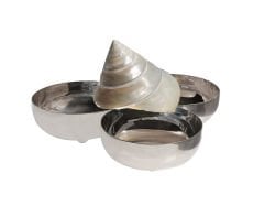 Sedef Deniz Kabuğu Üçlü Çerezlik