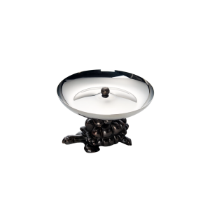 Kaplumbağa  Kase Medium