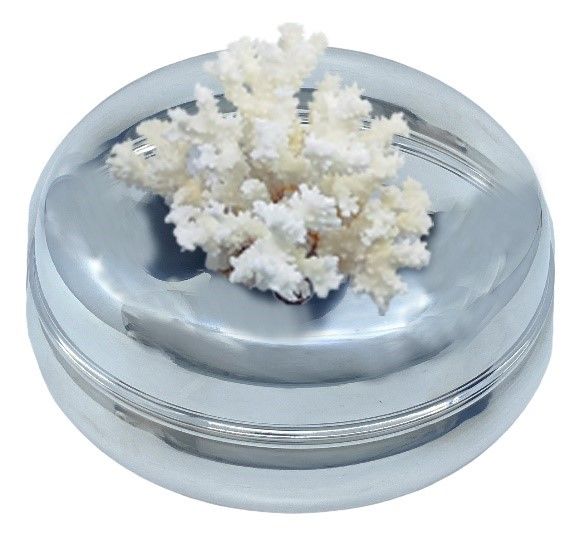 Beyaz Mercanlı Kokulu Mum (L)