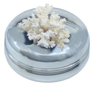 Beyaz Mercanlı Kokulu Mum (L)