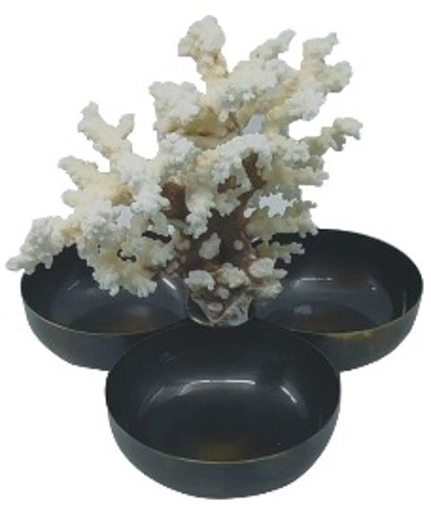 Beyaz Mercanlı Üçlü Çerezlik