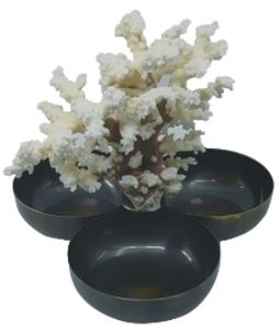 Beyaz Mercanlı Üçlü Çerezlik